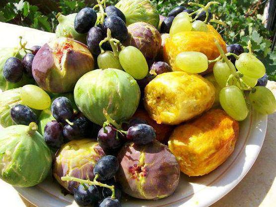 رؤية التين والعنب في المنام