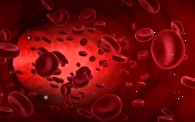  الدم في المنام للعزباء - تفسير الاحلام