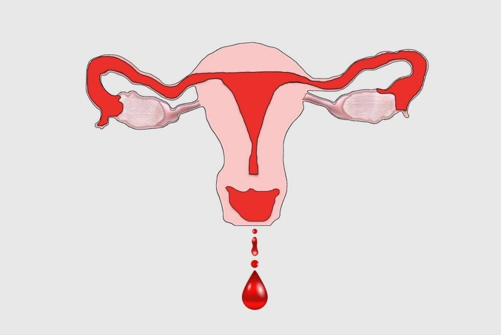 Menstruační krev ve snu pro svobodné ženy