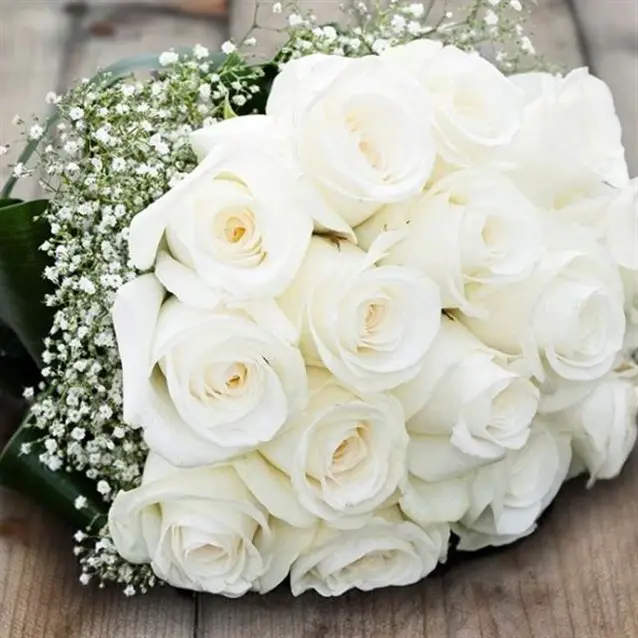 Mawar putih dalam mimpi