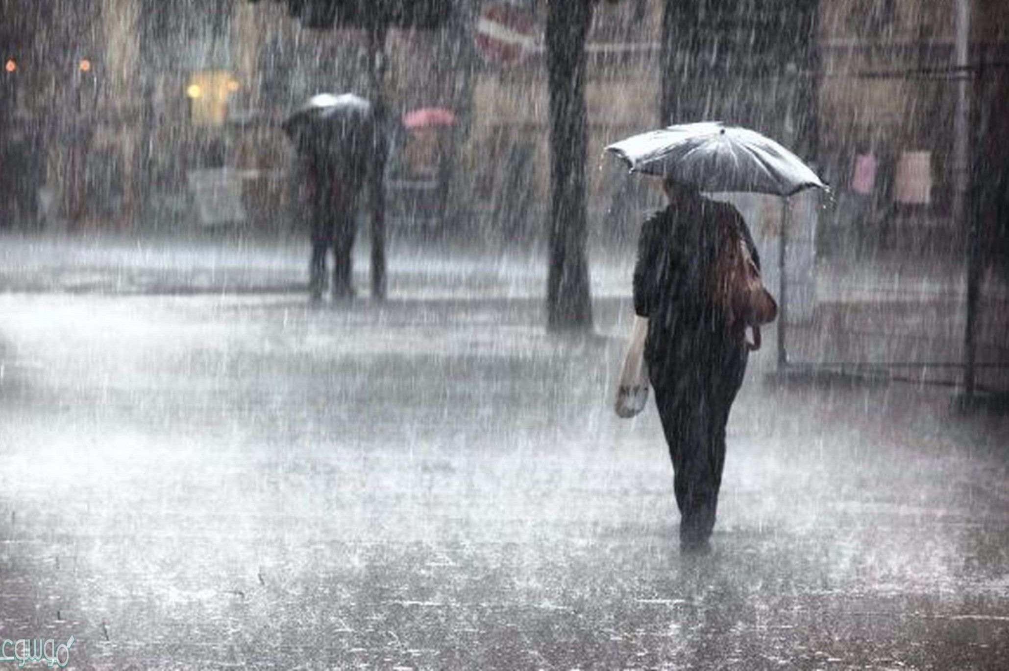 رؤية المطر الغزير في المنام