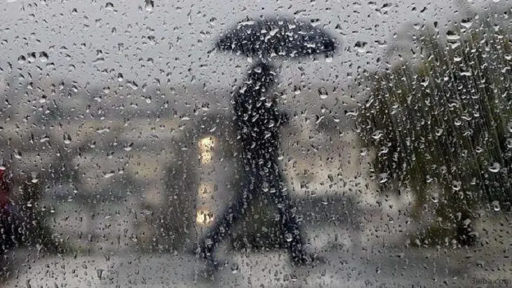 المطر في منام العزباء