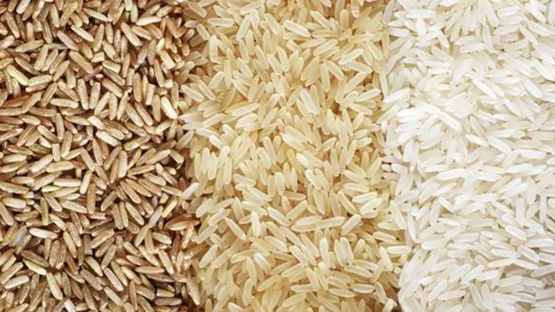 الأرز في المنام 