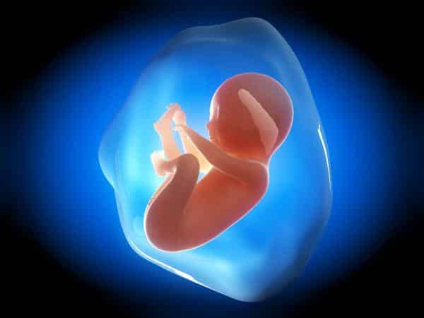 Ukubona i-fetus ephusheni yowesifazane oshadile