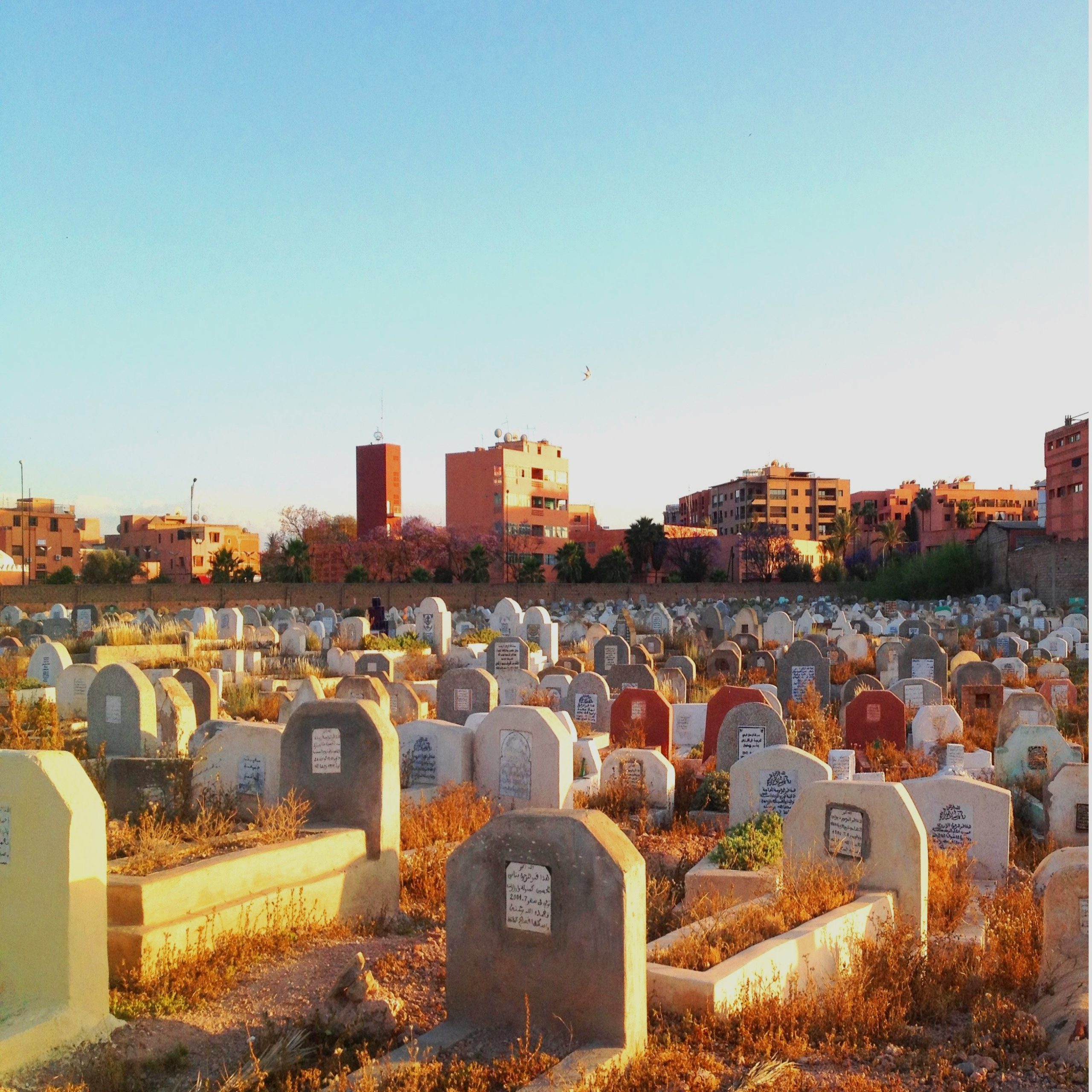 एमडी.बौलाम फोटोग्राफर ने सूर्यास्त के समय एक मुस्लिम कब्रिस्तान माराकेश को देखा - सपनों की व्याख्या