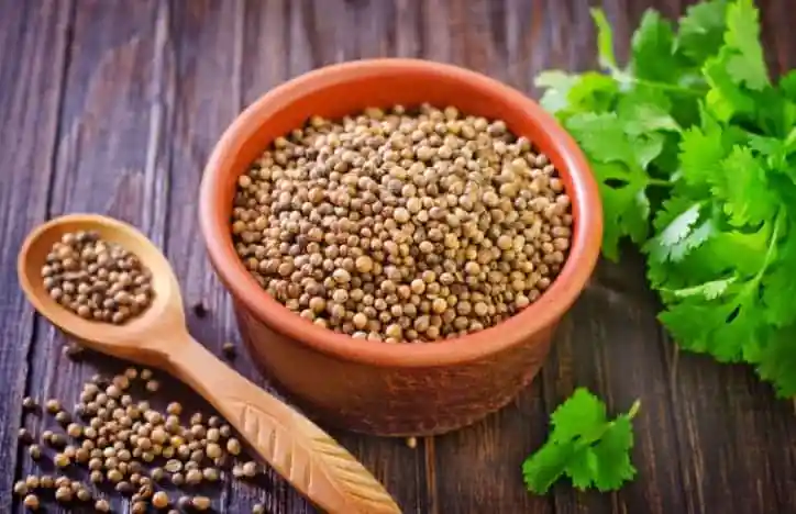 مين جربت الكزبرة الناشفة للتخسيس