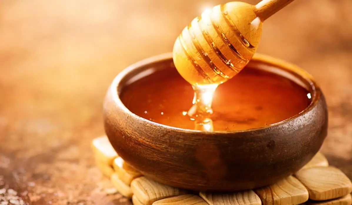 فوائد عسل السدر الجبلي
