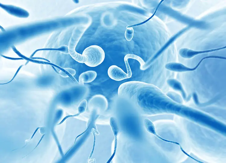 sperm - تفسير الاحلام