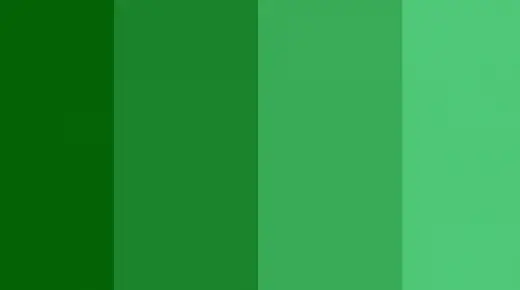 Tumačenje viđenja zelene boje u snu od Ibn Sirina