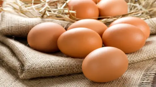 इब्न सिरिन द्वारा सपने में अंडे के प्रतीक के बारे में जानें