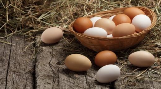 इब्न सिरिन द्वारा सपने में अंडे खाने की व्याख्या