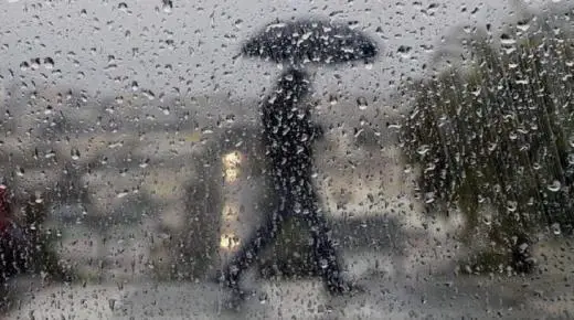 इब्न सिरिन द्वारा एकल महिलाओं के लिए भारी बारिश के सपने की व्याख्या