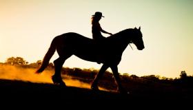 सपने में घोड़े की सवारी देखने के लिए इब्न सिरिन की व्याख्या