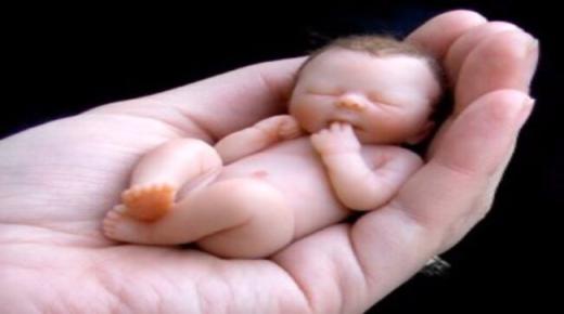 एक सपने की सबसे महत्वपूर्ण 20 व्याख्याएं कि मैंने गर्भपात किया था और इब्न सिरिन द्वारा एक सपने में भ्रूण देखा था