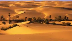 Lær om fortolkningen af ​​en drøm om ørkenen i en drøm af Ibn Sirin