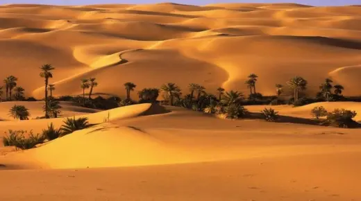 इब्न सिरिन द्वारा एक सपने में रेगिस्तान के बारे में एक सपने की व्याख्या के बारे में जानें