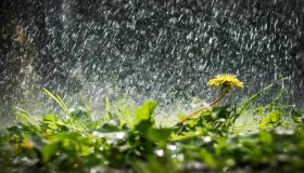 Fortolkning af en drøm om kraftig regn i en drøm af Ibn Sirin