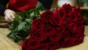 Tolkning av en drøm om roser for en gift kvinne av Ibn Sirin
