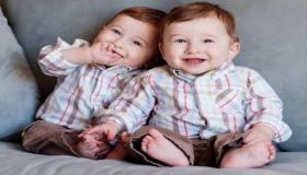 इब्न सिरीनच्या स्वप्नात जुळ्या मुलांना जन्म देण्याच्या स्वप्नाचा अर्थ
