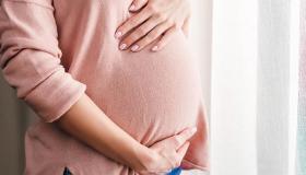 इब्न सिरिन द्वारा एक गर्भवती महिला के लिए गर्भपात के सपने की व्याख्या