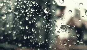 Lær om tolkningen av å se regn i en drøm av Ibn Sirin