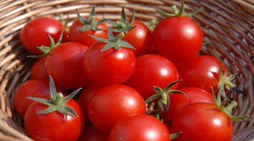 Den viktigste 20 tolkningen av å se tomater i en drøm av Ibn Sirin