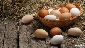 इब्न सिरिन द्वारा सपने में अंडे खरीदते हुए देखने की व्याख्या