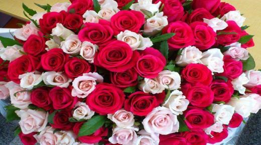 Saznajte o tumačenju snova o ružama za slobodne žene od Ibn Sirina
