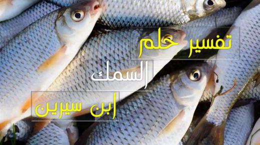 Spoznajte razlago rib v sanjah Ibn Sirina