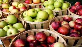 تفسير اكل التفاح في المنام لابن سيرين