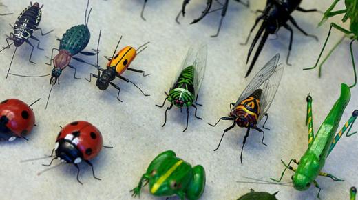 ما هو تفسير حلم الحشرات الصغيرة لابن سيرين؟