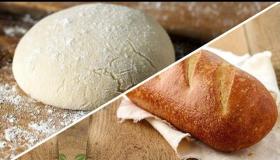 ما هو تفسير رؤية العجين والخبز في المنام لابن سيرين؟