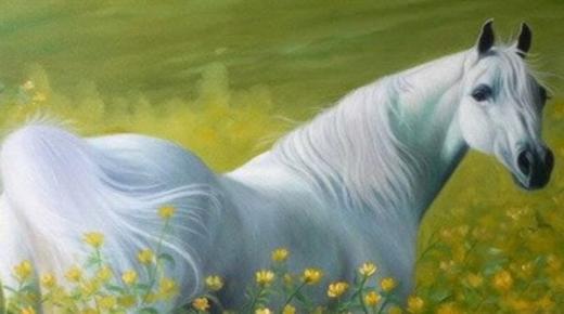 De forskjellige tolkningene av Ibn Sirins drøm om den hvite hesten