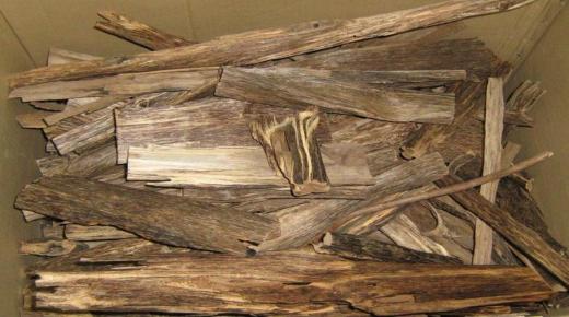 Aflați despre interpretarea lemnului de agar într-un vis pentru o femeie singură