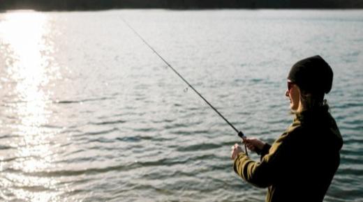 De 20 viktigste tolkningene av å se fiske i en drøm for en gift kvinne, ifølge Ibn Sirin
