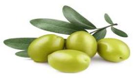 Hva er tolkningen av å se oliven i en drøm ifølge Ibn Sirin?